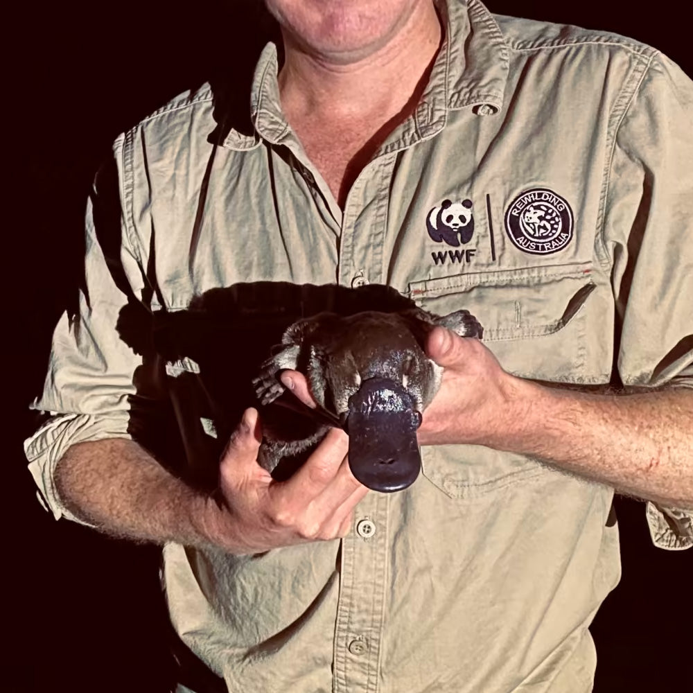 Platypus with WWF-Australia staff, to highlight platypus adoption