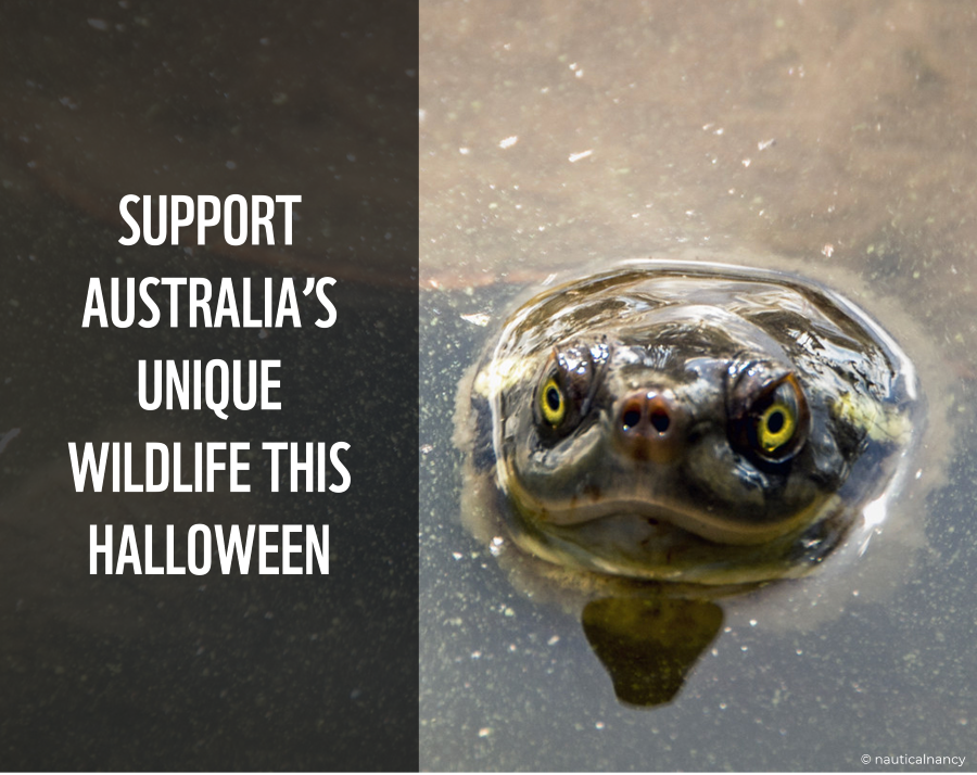 Support Australia’s unique wildlife