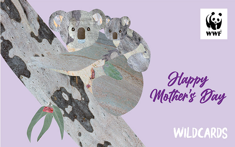 Mother's Day wildcard, with image of koala and their joey