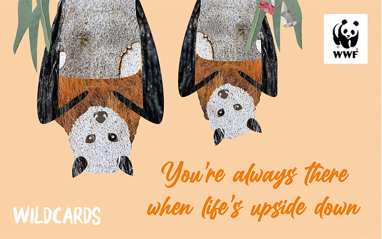 Cartoon father flying fox and baby flying fox, for a wildcard fathers day gift