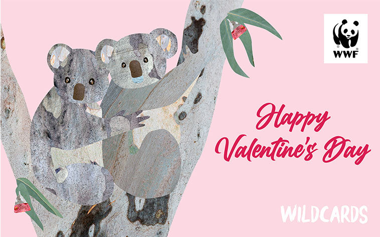 Valentines Day Wildcard