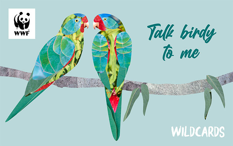 Valentine's Day Wildcard