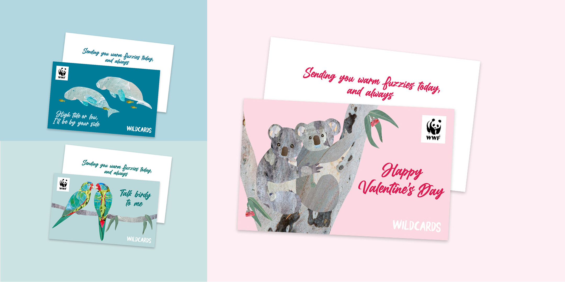 Set of Valentine's Day cards featuring koalas, parrots, and seals with a blue and pink background.