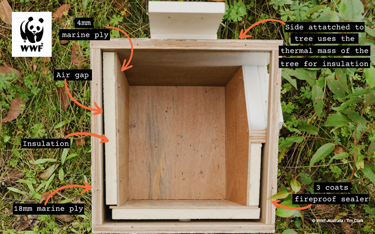 An image showing the inside of a greater glider nest box, highlighting the different components inside it