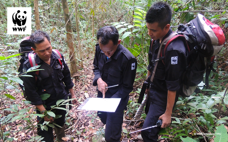 Members of WWF tiger protection team in a forest looking at a map