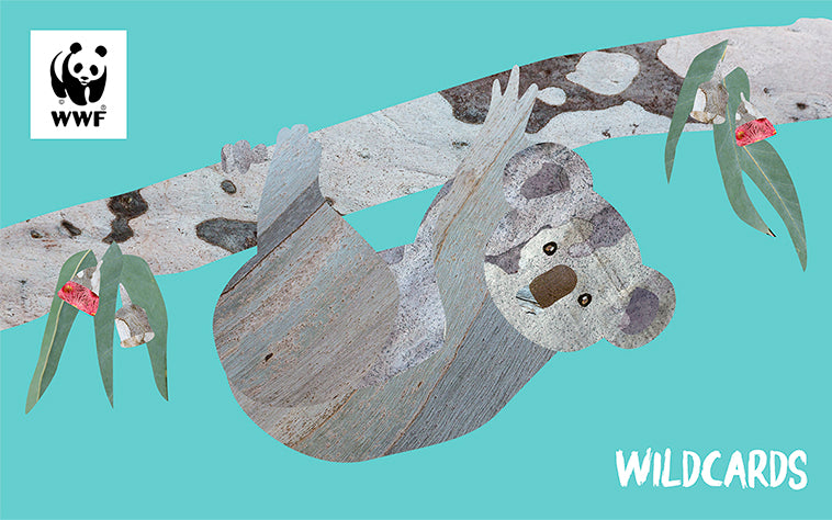 Cartoon Koala on a branch, for a wildcard gift