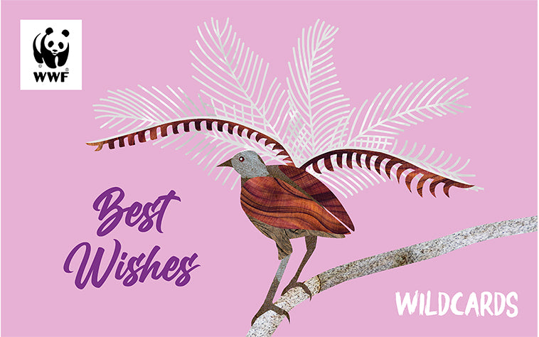 Cartoon lyrebird, for a wildcard birthday gift