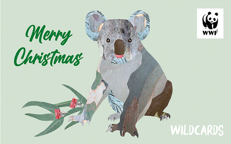 Cartoon Koala, for a wildcard christmas gift