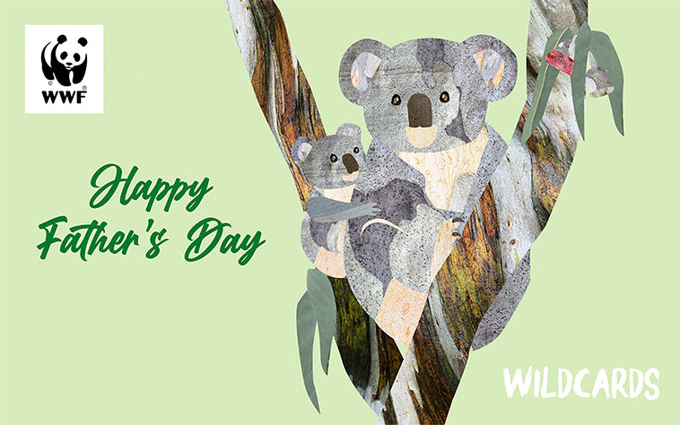 Cartoon father koala and baby koala, for a wildcard fathers day gift
