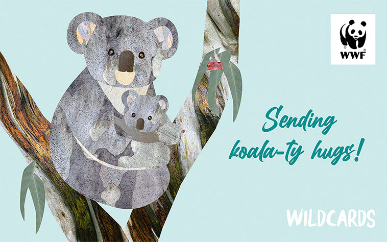 Cartoon adult koala and baby koala, for a wildcard motivational gift