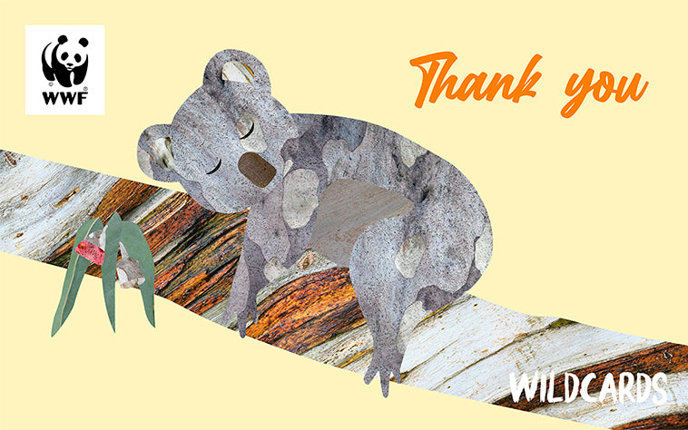 Cartoon koala, for a wildcard thank you gift